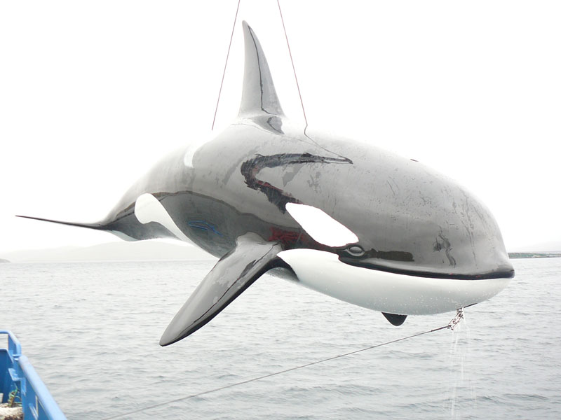 ocra-whale ocra-whale