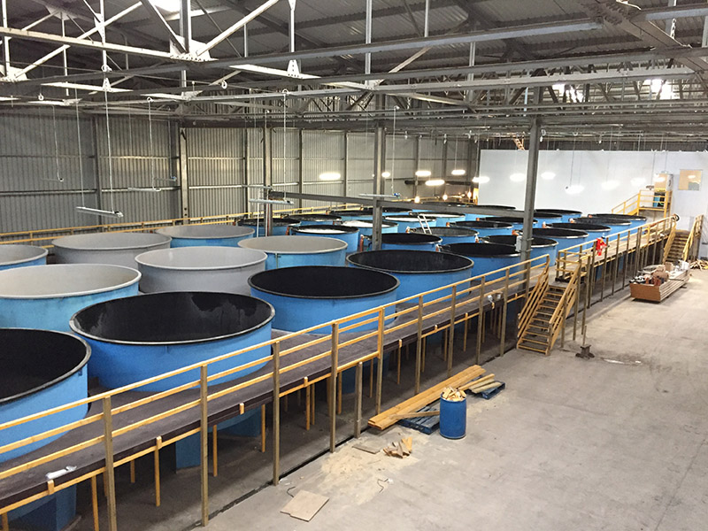 800x600px44 Tanks